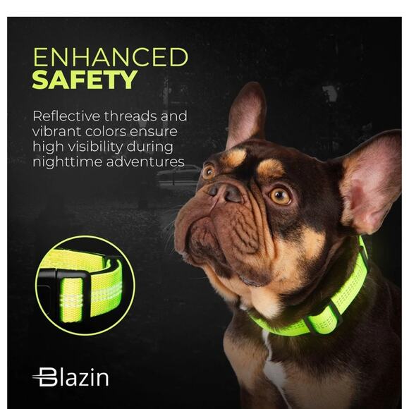 Blazin Reflective Small Dog Collar- Brilliant Blue - Picture 4 of 6